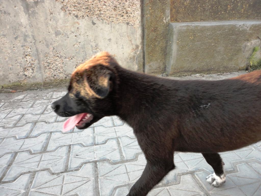 sulina iunie 2013 - dsc09948.JPG